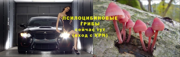 стафф Горно-Алтайск