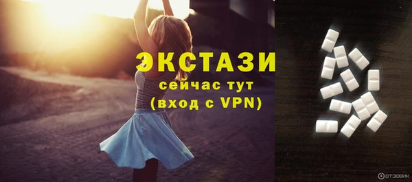 индика Туринск