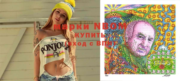индика Туринск