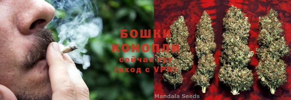 стафф Горно-Алтайск