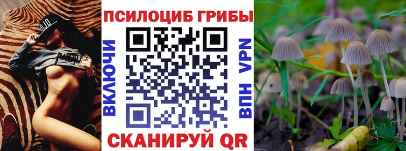 продажа наркотиков  Ясный  Галлюциногенные грибы GOLDEN TEACHER 